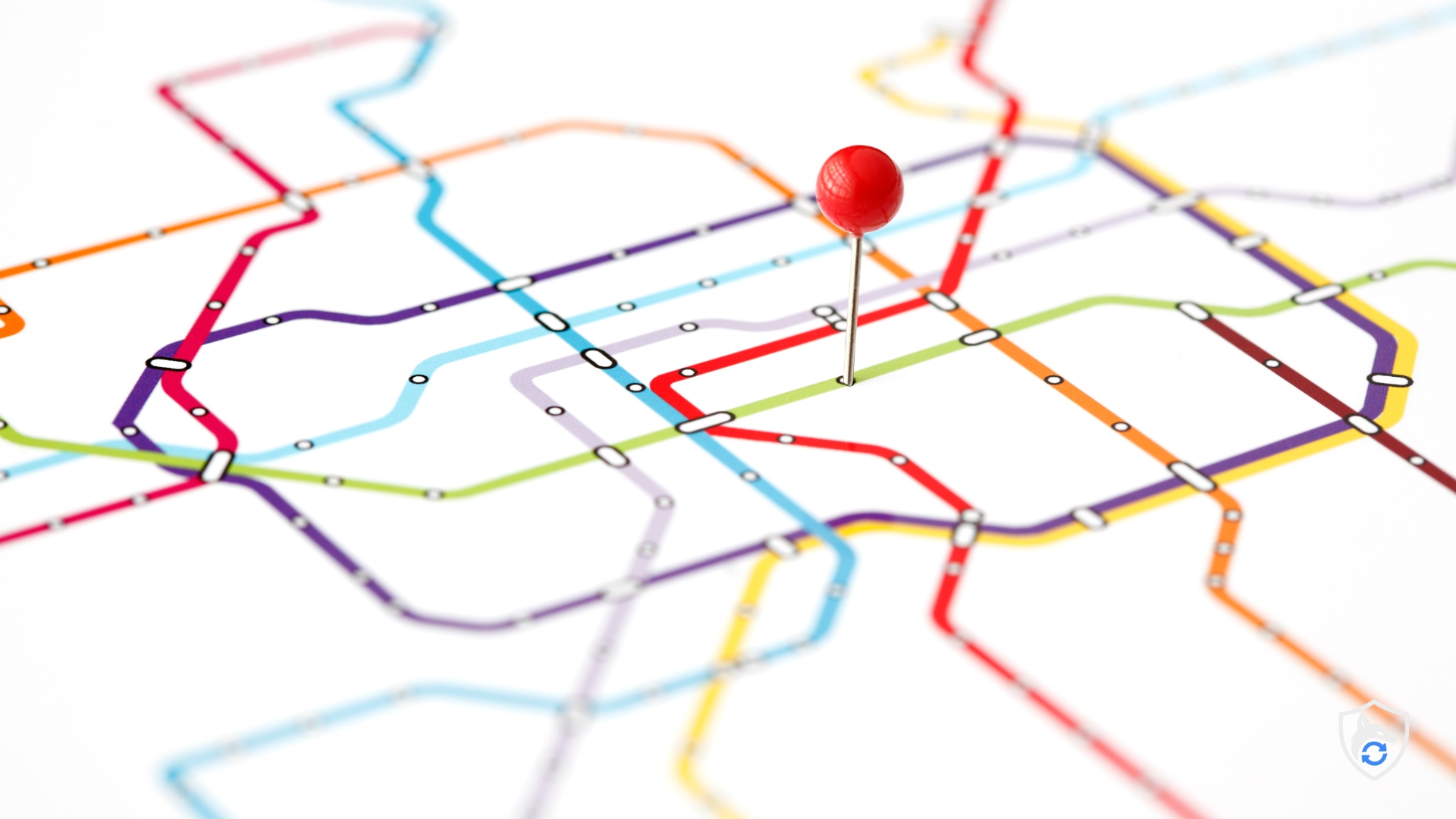 Live Location Tracking